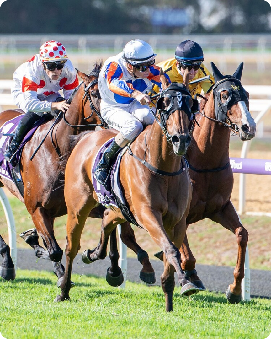 Horse racing photo 23